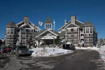ホテル Allegheny Springs
