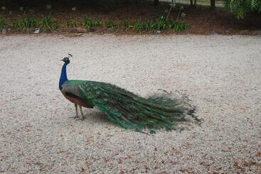 호텔 Azabu Retreat & Spa