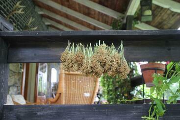 Bed and Breakfast Borszówka Dom Nad Potokiem   Pensjonat