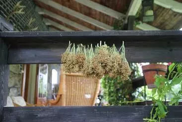 Aamiaismajoitus (B&B) Borszówka Dom Nad Potokiem   Pensjonat