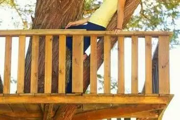 ホテル Tree House 4 Nature Lovers