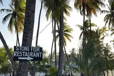 ベッドアンドブレックファースト Stonefish Inn Jambiani