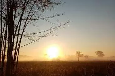 Uma Farm