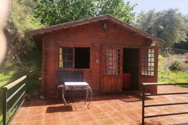 هاستل Auberge Ramz S