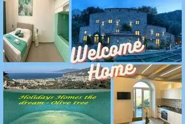 هتل آپارتمان Holidays Homes The Dream