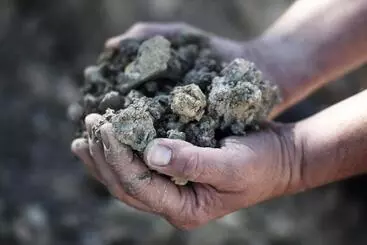 Hotelli Weingut Matthias Dostert / Culinarium