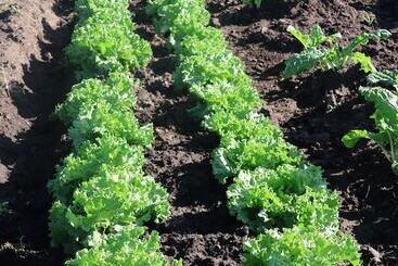 אתר נופש Mtito Safari Camp