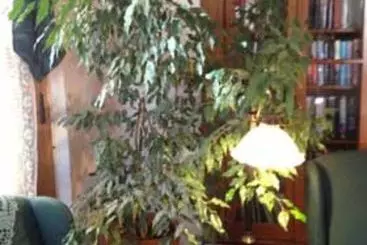 Crescent Lily Inn B&b