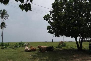 پانسیون Gunne Fisherman House