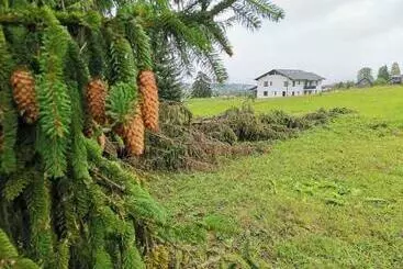 Majatalo Vila Dorna Royal