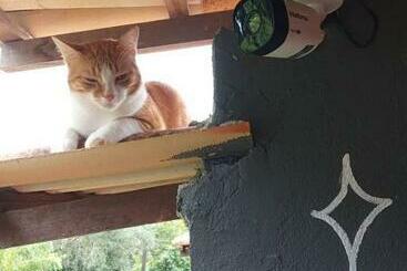 Aamiaismajoitus (B&B) Village Da Cachoeira