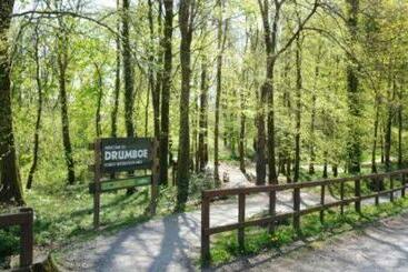 פנסיון A Comfortable Stay In Ballybofey