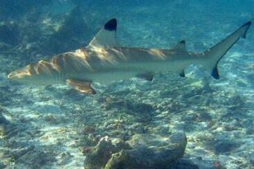 Hotel Ok2 Mamajim Bungalows