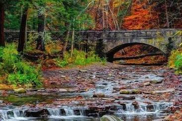 Allegiance Bed And Breakfast