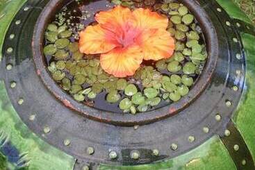 مبيت وإفطار Volcano Artist Cottage