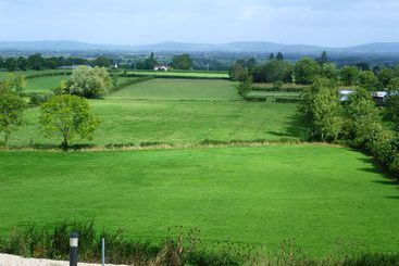 ホテル The Olive Mill