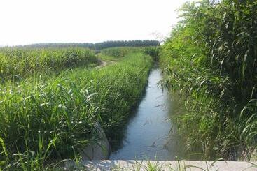 مبيت وإفطار Gaietta