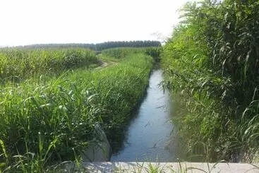 Aamiaismajoitus (B&B) Gaietta