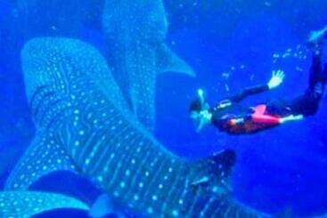 Aparthotel Citi Di Mare Amalfi Cebu 2 Br Condo