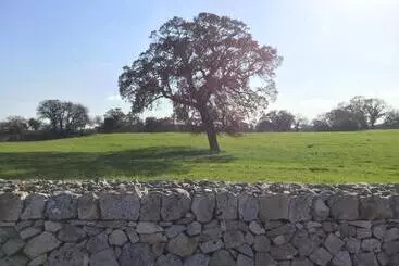 Bed and Breakfast Villa Enea Monopoli