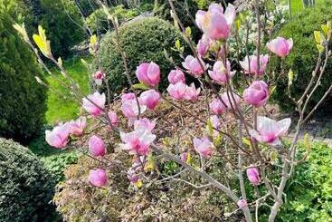 Szálloda эко отель прованс одесса