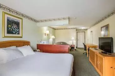 汽车旅馆  Americas Best Value Inn Three Rivers