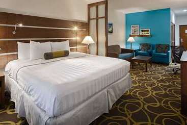 בית מלון כפרי Best Western Plus College Station Inn & Suites