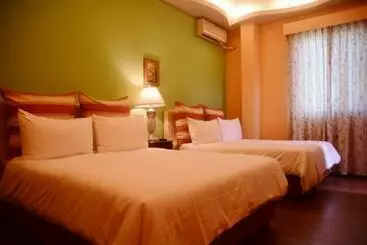 تختخواب و صبحانه Champs Elysees Guesthouse