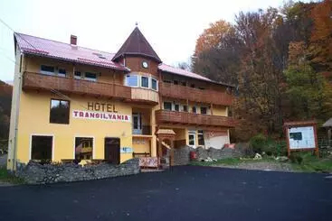 ペンション Vila Transilvania