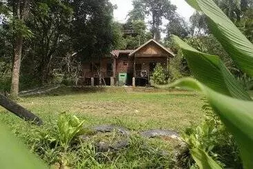 Retkeilymaja Mountain View Cottages & Villa Tangkahan