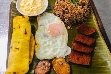 Bed and Breakfast Carara Adventure Park