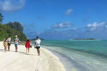 پانسیون Royal Reef Stay