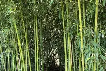 ベッドアンドブレックファースト Domaine De La Provençale