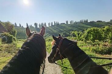 住宿加早餐  Hiša Pep S