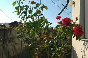 ペンション Casa Lavandei