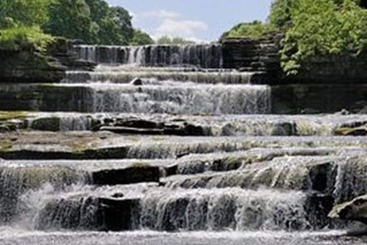 Bed and Breakfast Capple Bank Farm