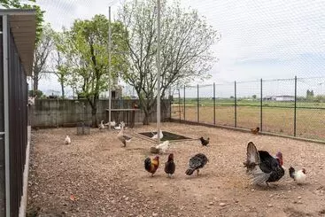 Agriturismo Pozzo Fiorito