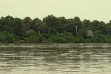 فندق Selous Wilderness Camp