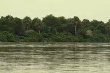 酒店 Selous Wilderness Camp