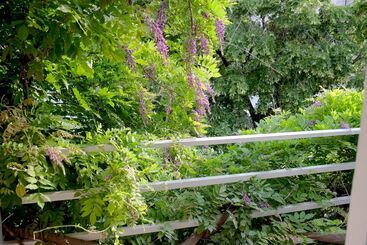 酒店 Blueberry Nights