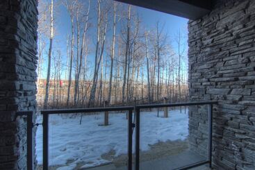 Отель Pinnacle Inn & Suites Aspen