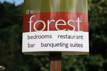 Hotelli The Forest