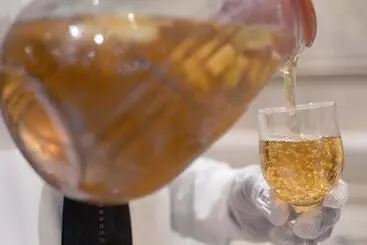 Hôtel Al Borg Al Watheer