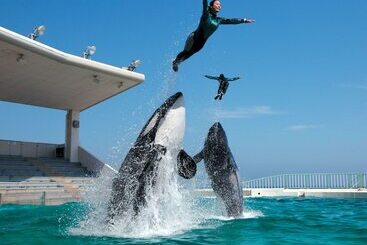 Hotel Kamogawa Sea World