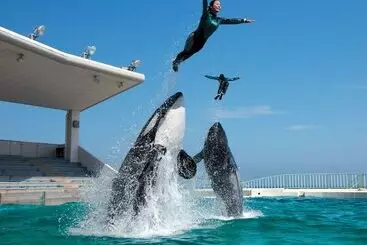 Hotel Kamogawa Sea World