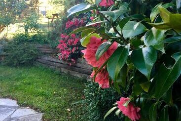 주택 Crimson Villa