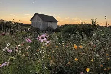 The Farmhouse Bed And Breakfast