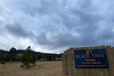 Black Tree Resort The Lodge