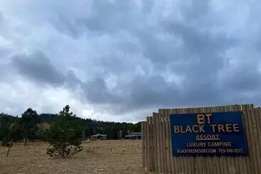 Black Tree Resort   The Lodge