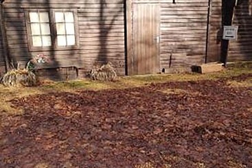 コテージ Lily Pad By Paymán Club